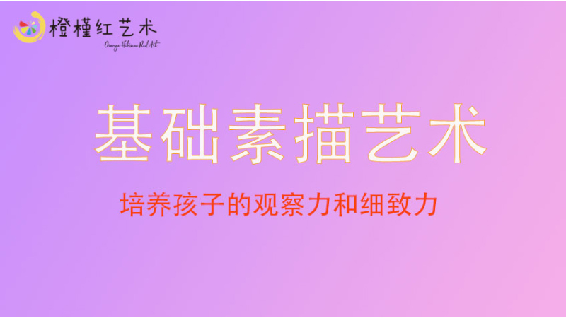 基础素描艺术-橙槿红艺术